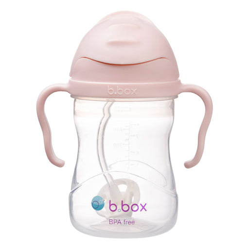 BBox Sippy Cup - 240ml