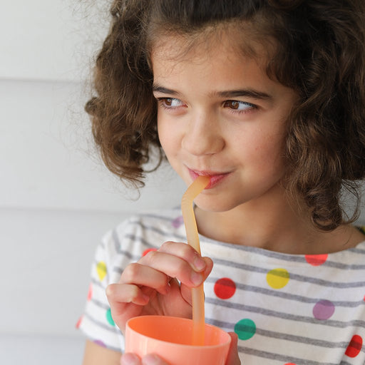 BBox Reusable Silicone Straws