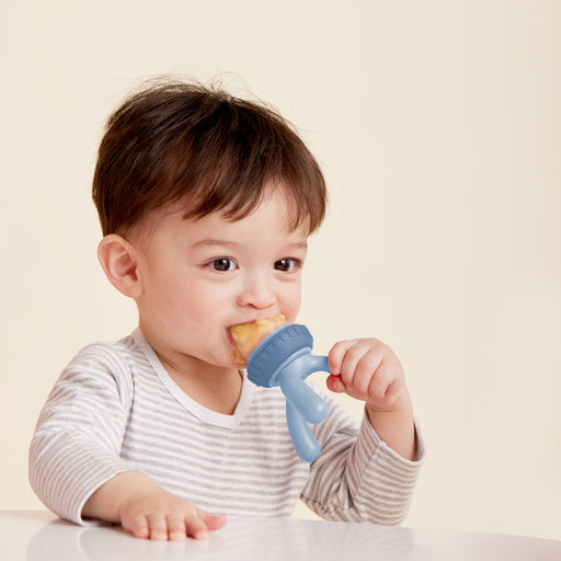 BBox Silicone Fresh Food Feeder
