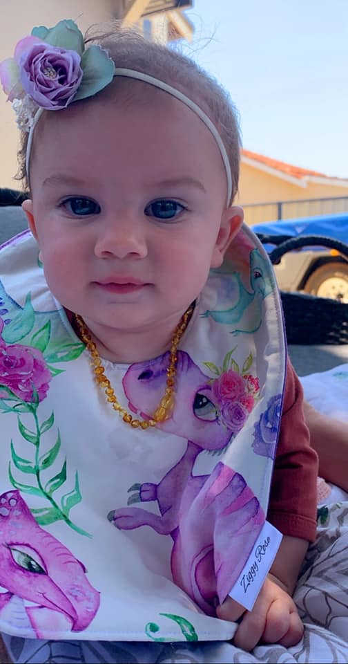 Ziggy Rose Designs PUL Bibs