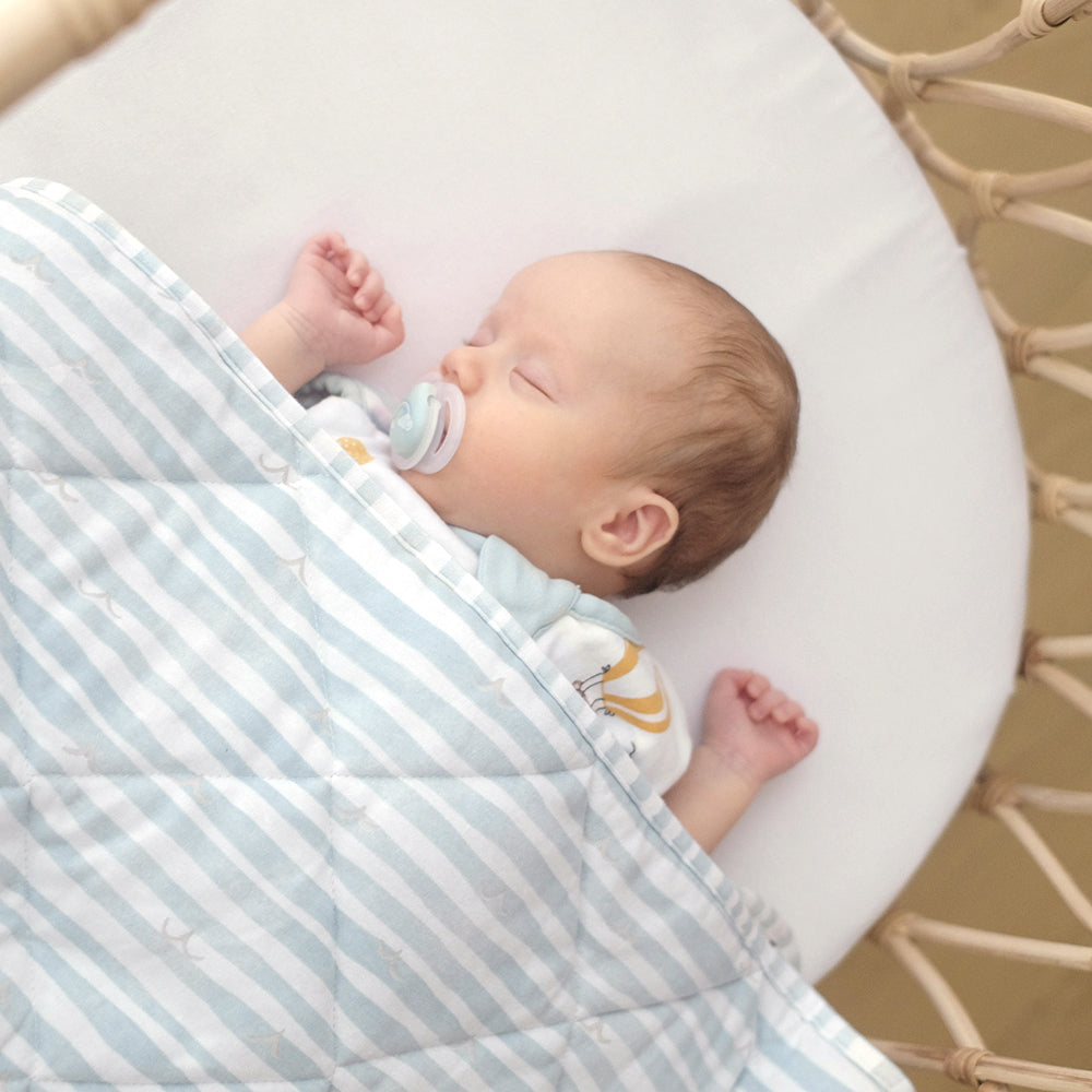 Living Textiles Reversible Quilted Cot Comforter